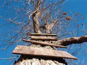 Houseless_Tree_House_by_chik_4_wolverine(1)